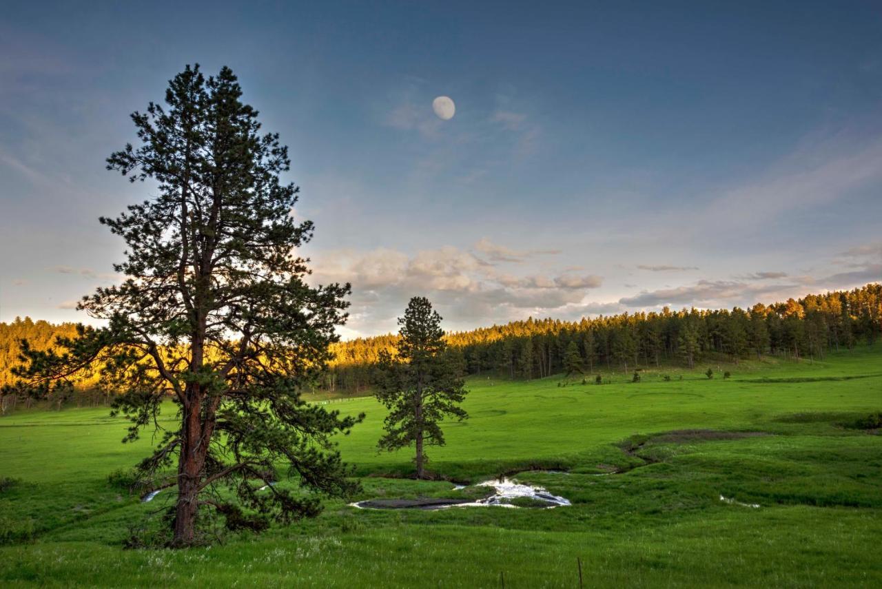 Coyote Blues Village Bed & Breakfast Silver City Buitenkant foto